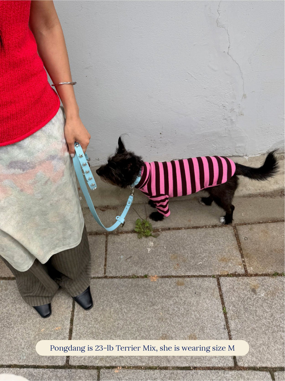Little Beast Dog Stripe Shirt Cheshire Shirt