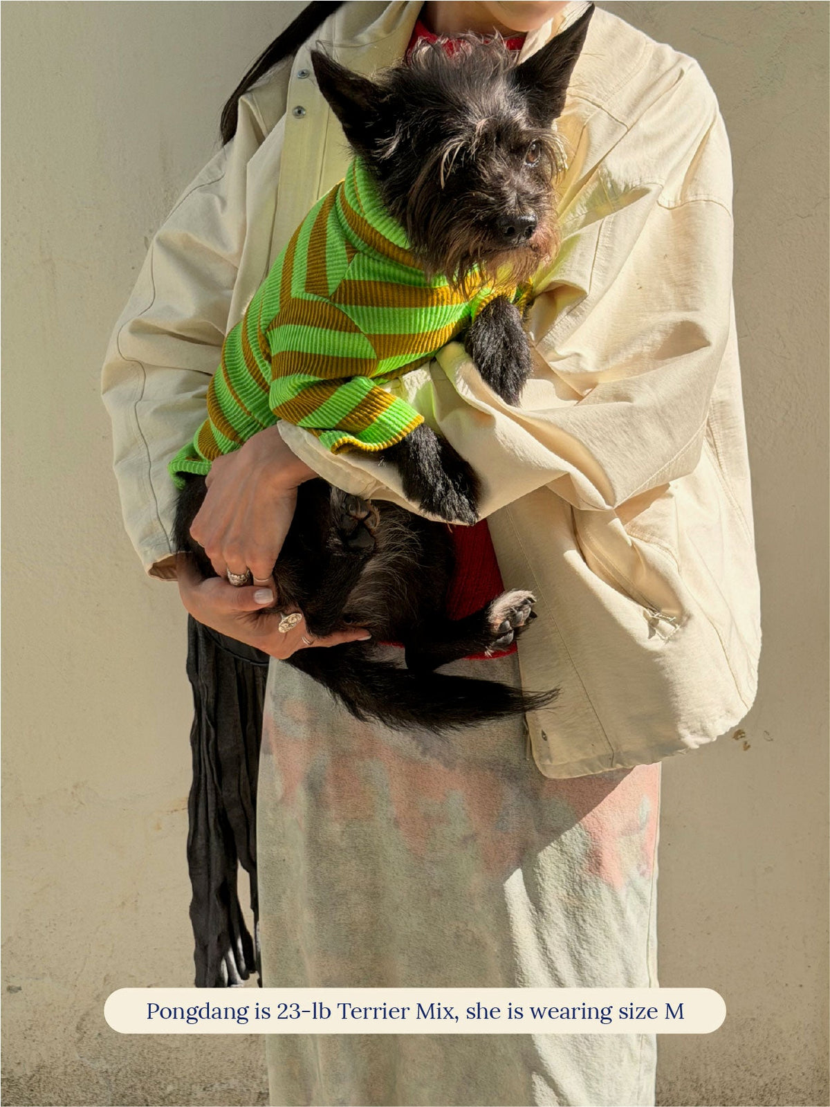 Little Beast Dog Stripe Shirt Fresh Grass Shirt