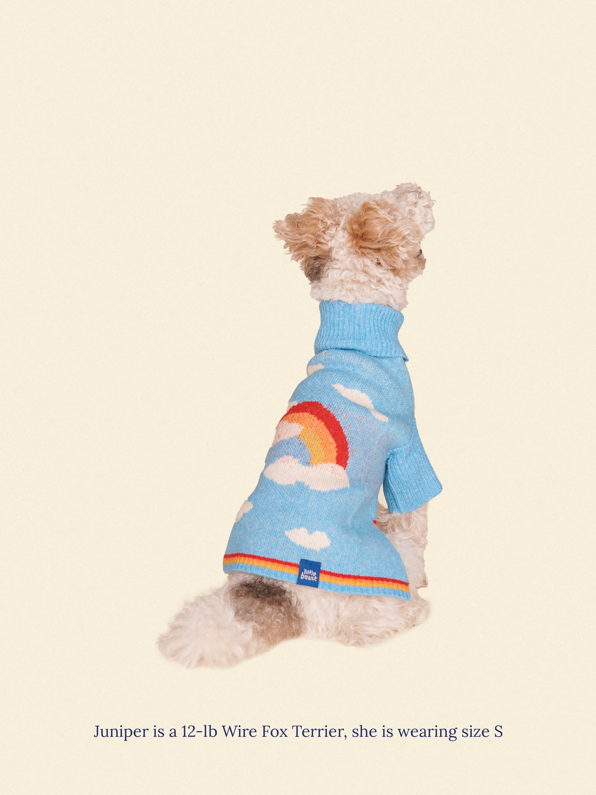 Little Beast Dog Sweater Silver Linings 2 Sweater
