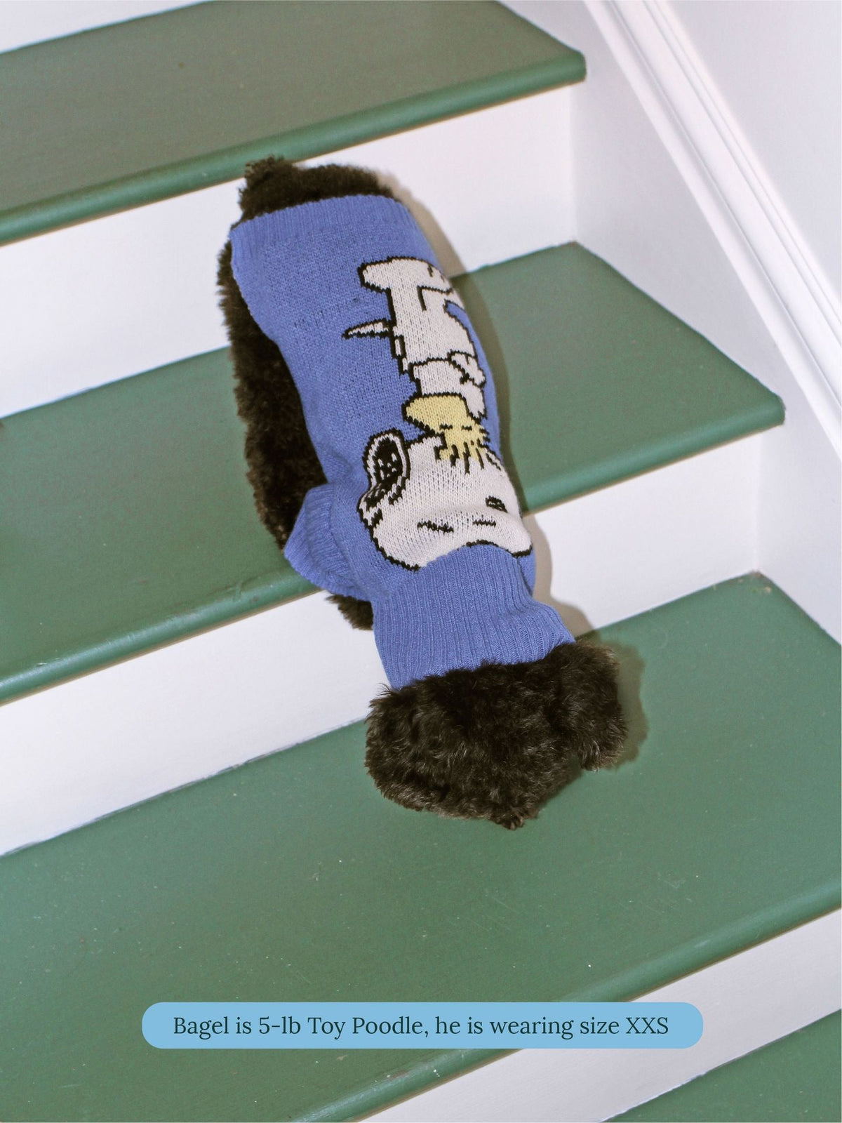 Little Beast Dog Sweater A Snoopy Sweater - PEANUTS