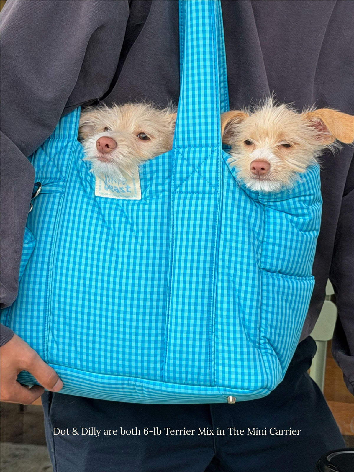 Little Beast Dog Carrier The Little Beast Carrier - Ocean Breeze