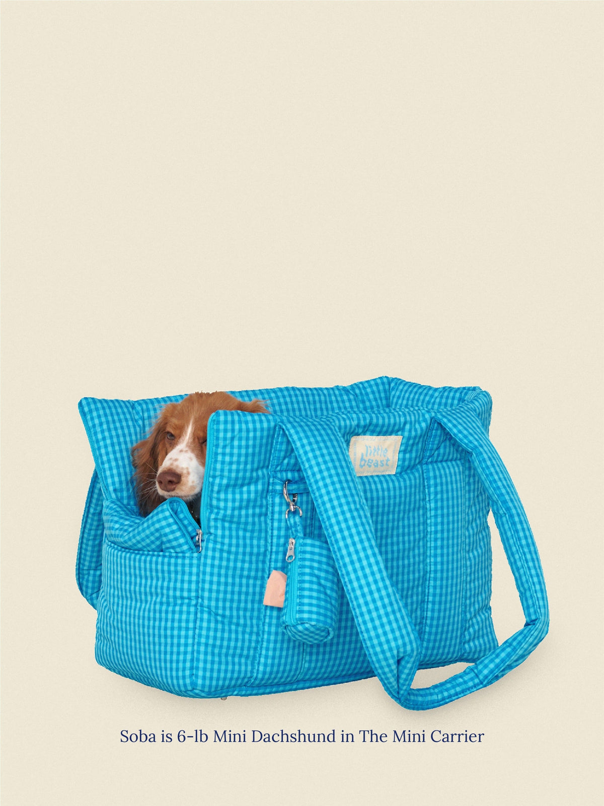 Little Beast Dog Carrier The Little Beast Carrier - Ocean Breeze